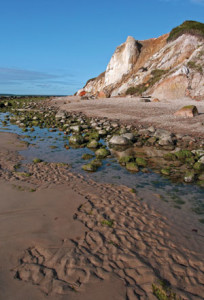 Rock steady. Russet-colored clay cliffs encase eons of ancient animal and marine fossils on Moshup Beach in a protected corner of Martha’s Vineyard. Shutterstock