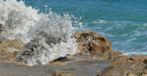 sl1-Blowing_Rocks_Preserve_shutterstock_20855191