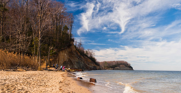 sl3-Calvert_Cliffs_State_Park_shutterstock_147638021