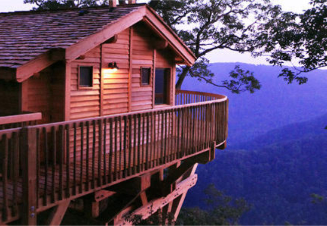 Primland Tree Houses