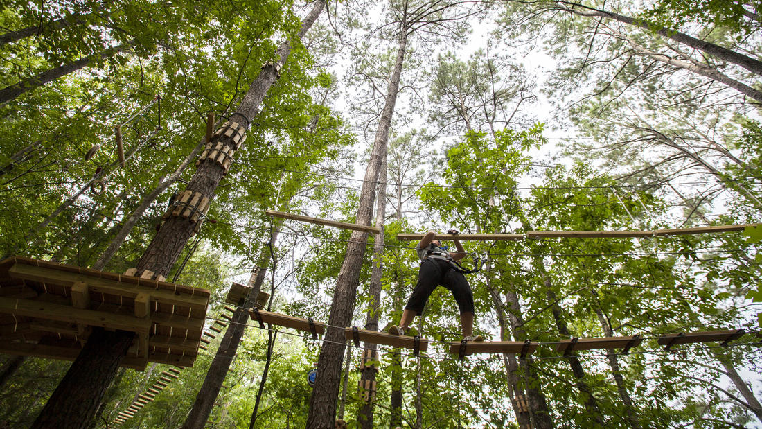 The Adventure Park at Virginia Aquarium