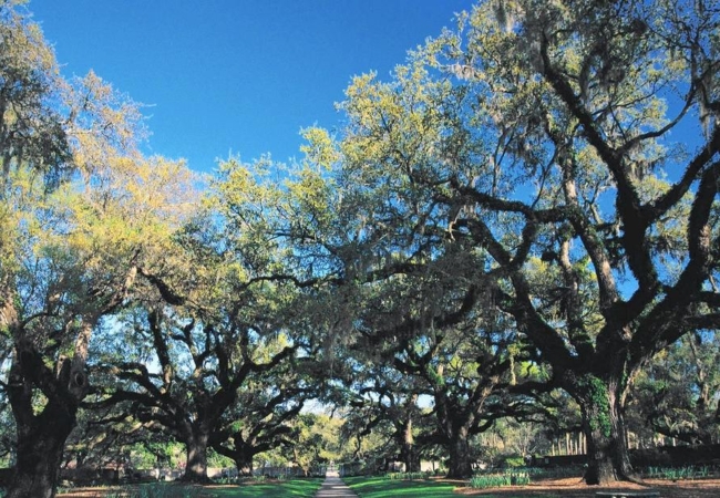 Brookgreen Gardens