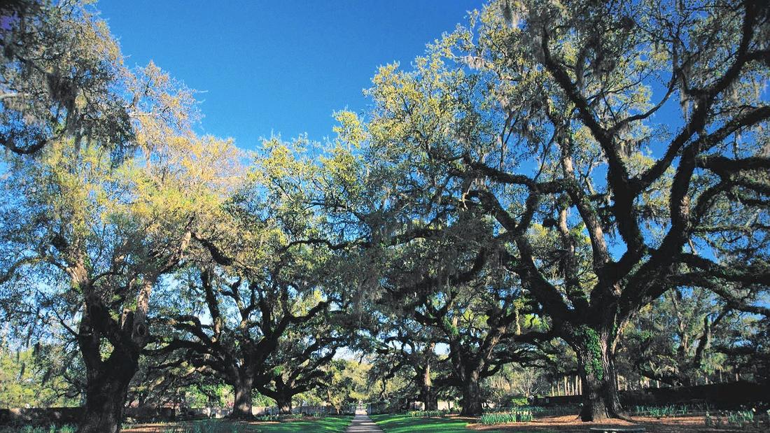 Brookgreen Gardens