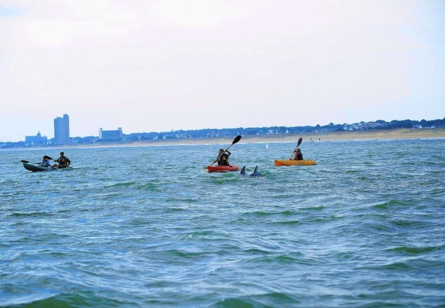 Kayak Nature Tours