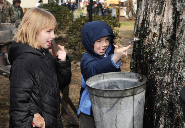 Pennsylvania Maple Festival