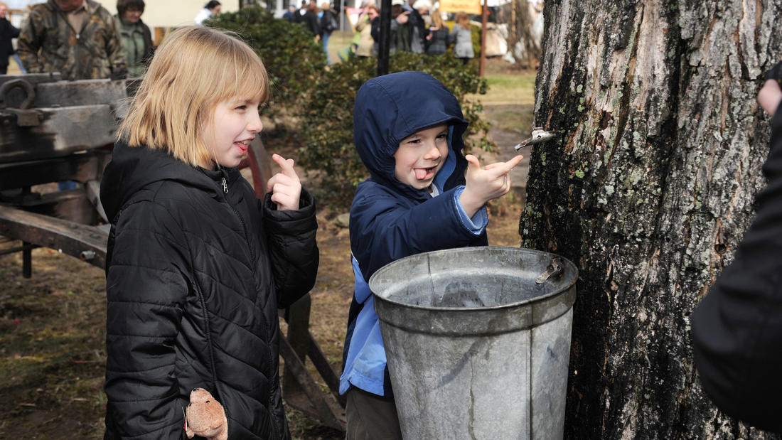 Pennsylvania Maple Festival